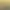 Greengrocer Simulator 2024.