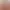 https://shared.akamai.steamstatic.com/store_item_assets/steam/apps/3235270/header.jpg?t=1734648231