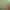 https://shared.akamai.steamstatic.com/store_item_assets/steam/apps/323670/header.jpg?t=1737595236