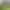 https://shared.akamai.steamstatic.com/store_item_assets/steam/apps/3239330/header.jpg?t=1749981790