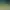 https://shared.akamai.steamstatic.com/store_item_assets/steam/apps/3239570/header.jpg?t=1729938439