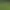 Football Club Simulator - FCS #21.