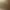 https://shared.akamai.steamstatic.com/store_item_assets/steam/apps/3241000/header.jpg?t=1744458279