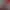 https://shared.akamai.steamstatic.com/store_item_assets/steam/apps/3241490/header.jpg?t=1732164751