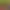 https://shared.akamai.steamstatic.com/store_item_assets/steam/apps/3243590/header.jpg?t=1749156400