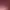 https://shared.akamai.steamstatic.com/store_item_assets/steam/apps/3244200/header.jpg?t=1748033531
