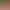 https://shared.akamai.steamstatic.com/store_item_assets/steam/apps/3245310/header.jpg?t=1732887816