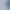 Elven Forest.