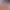 https://shared.akamai.steamstatic.com/store_item_assets/steam/apps/3250970/header.jpg?t=1747647310