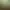 Bird Simulator 24.