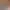 https://shared.akamai.steamstatic.com/store_item_assets/steam/apps/3282760/header.jpg?t=1737990332