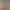 https://shared.akamai.steamstatic.com/store_item_assets/steam/apps/3284640/header.jpg?t=1730212775
