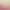 https://shared.akamai.steamstatic.com/store_item_assets/steam/apps/3288650/5009b2b6a8b43df652054e7d0c8e069faff5c329/header.jpg?t=1742910733