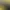 https://shared.akamai.steamstatic.com/store_item_assets/steam/apps/3292710/47d430068542faf06f5705bb0cecfafe9843305e/header.jpg?t=1750284009