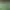 https://shared.akamai.steamstatic.com/store_item_assets/steam/apps/3294930/header.jpg?t=1733082373