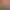 https://shared.akamai.steamstatic.com/store_item_assets/steam/apps/3297240/header.jpg?t=1737691272