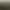 Potion Shopkeeper Simulator.