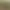 https://shared.akamai.steamstatic.com/store_item_assets/steam/apps/3305650/header.jpg?t=1741107635
