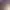 https://shared.akamai.steamstatic.com/store_item_assets/steam/apps/3305900/header.jpg?t=1741355882