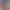 https://shared.akamai.steamstatic.com/store_item_assets/steam/apps/3306900/header.jpg?t=1748597480