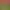 https://shared.akamai.steamstatic.com/store_item_assets/steam/apps/3308550/header.jpg?t=1749780350