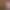 https://shared.akamai.steamstatic.com/store_item_assets/steam/apps/3310020/header.jpg?t=1746807945