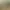 https://shared.akamai.steamstatic.com/store_item_assets/steam/apps/3310990/header.jpg?t=1731662334