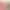https://shared.akamai.steamstatic.com/store_item_assets/steam/apps/3311000/header.jpg?t=1732360983