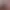 https://shared.akamai.steamstatic.com/store_item_assets/steam/apps/3312230/header.jpg?t=1734696414