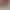 https://shared.akamai.steamstatic.com/store_item_assets/steam/apps/3315900/header.jpg?t=1731925362