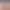 https://shared.akamai.steamstatic.com/store_item_assets/steam/apps/3317540/header.jpg?t=1738265429