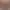 https://shared.akamai.steamstatic.com/store_item_assets/steam/apps/3319250/header.jpg?t=1742034000