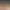 https://shared.akamai.steamstatic.com/store_item_assets/steam/apps/3324480/header.jpg?t=1734628216