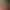 https://shared.akamai.steamstatic.com/store_item_assets/steam/apps/3325590/header.jpg?t=1735931601