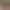 https://shared.akamai.steamstatic.com/store_item_assets/steam/apps/3327130/header.jpg?t=1736434845