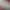 https://shared.akamai.steamstatic.com/store_item_assets/steam/apps/3327200/header.jpg?t=1750227510