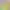 https://shared.akamai.steamstatic.com/store_item_assets/steam/apps/3327340/19eadd9a8928ba5143cafd2748c24f6a12777243/header.jpg?t=1742755667