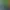 猫面-NECOMEN-.