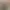 https://shared.akamai.steamstatic.com/store_item_assets/steam/apps/3337200/0a74268270afd43990aaff7178e873fbea627a70/header.jpg?t=1745491345