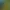 https://shared.akamai.steamstatic.com/store_item_assets/steam/apps/3338100/header.jpg?t=1731713319