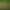 Animal Workforce: Idle Tycoon Clicker.