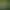 Animal Workforce: Idle Tycoon Clicker.