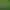 Animal Workforce: Idle Tycoon Clicker.