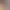 https://shared.akamai.steamstatic.com/store_item_assets/steam/apps/3346300/header.jpg?t=1746380253