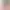 https://shared.akamai.steamstatic.com/store_item_assets/steam/apps/3346870/header.jpg?t=1734573649