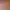 https://shared.akamai.steamstatic.com/store_item_assets/steam/apps/3346950/header.jpg?t=1747818042