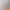 https://shared.akamai.steamstatic.com/store_item_assets/steam/apps/3347070/header.jpg?t=1737036015