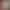 https://shared.akamai.steamstatic.com/store_item_assets/steam/apps/3349960/3e4410e80f671c44c01f3136023d501731bb1816/header.jpg?t=1746811464