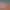 https://shared.akamai.steamstatic.com/store_item_assets/steam/apps/3354280/header.jpg?t=1749916090