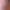 https://shared.akamai.steamstatic.com/store_item_assets/steam/apps/335460/header.jpg?t=1726384960